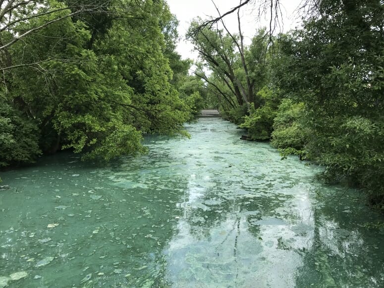 An algae bloom began to spread across Lake Mendota on June 6, 2018, prompting beach closures in affected areas.