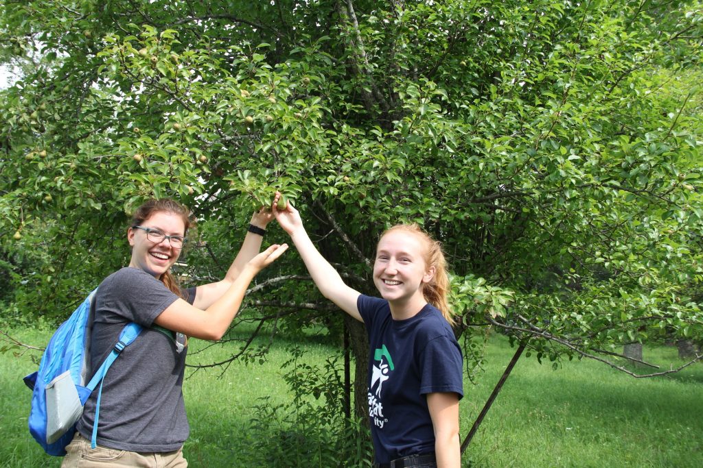 Interns Hannah Kasun and Natalie Brunner stand under a fruit tree at the Farley Center. Photo By: Trina La Susa