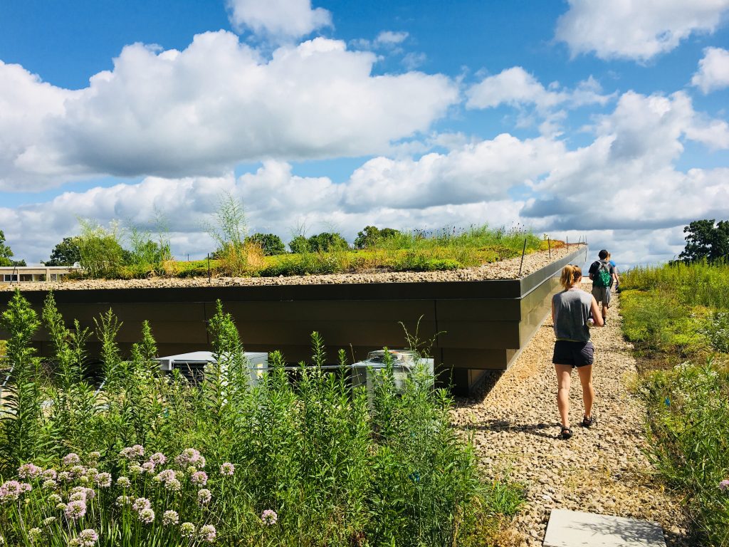 The interns had an exclusive tour of the Dejope Residence Hall green roof.