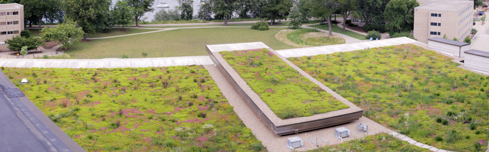 Dejope Residence Hall Green Rooftop, from University Housing