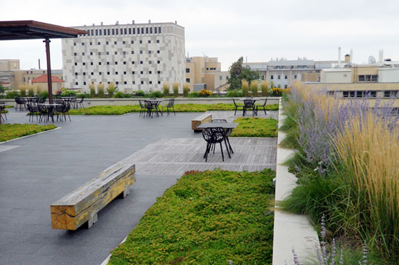 School of Human Ecology Green Rooftop UW-Madison (Campus Planning & Landscape Architecture)