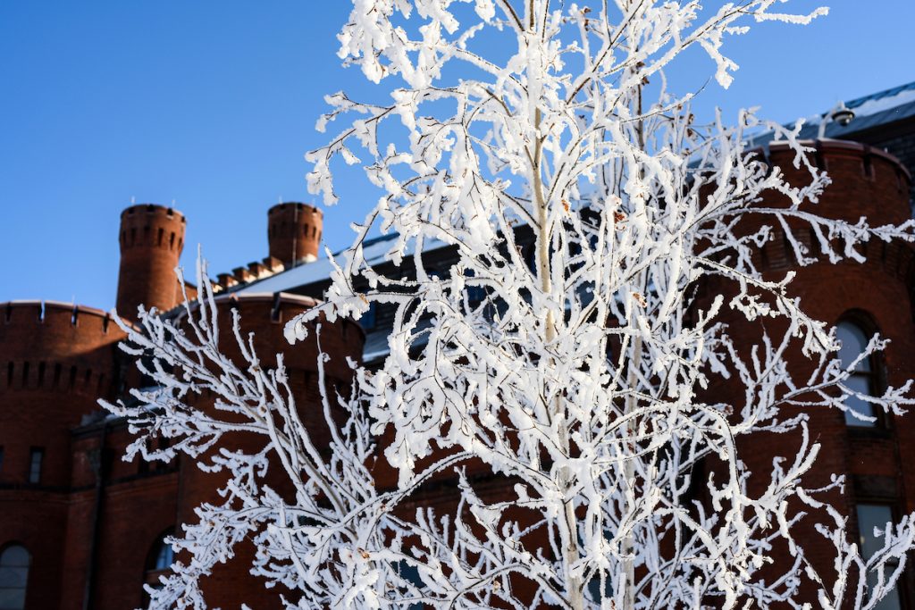 Hoarfrost