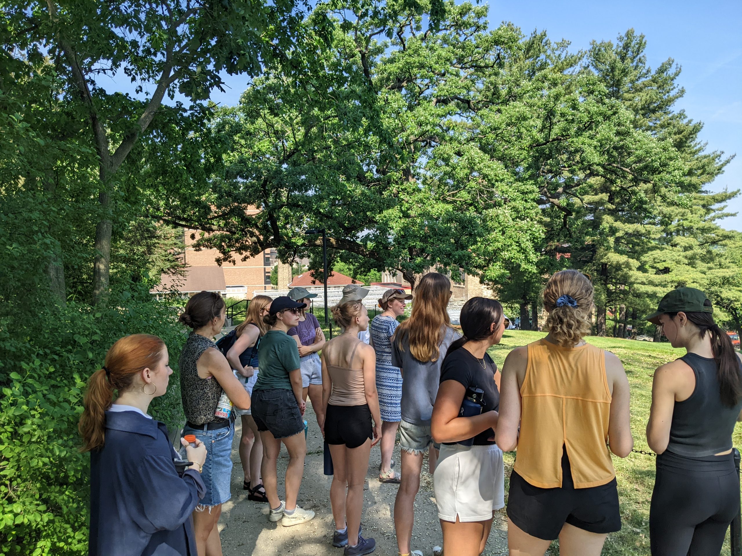 Interns observed effigy mounds and the Tree of Peace on Observatory Hill during a First Nations Cultural landscape tour. 