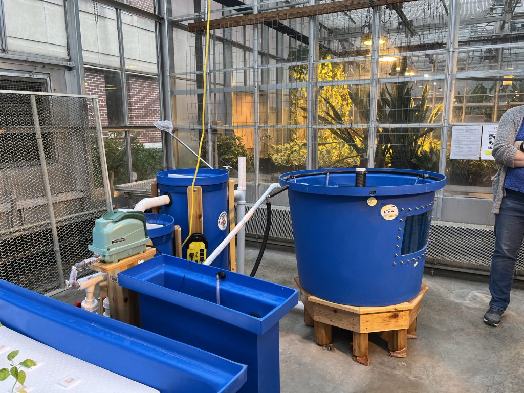 The assembled aquaponics system showing the fish tank on the right side, the filter in the center, and a part of the hydroponics component at the bottom left corner.