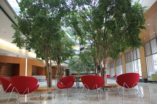 The tree-lined atrium with large red chairs below the foliage in the Discovery Building at the University of Wisconsin–Madison. Photo by Emma Erickson.