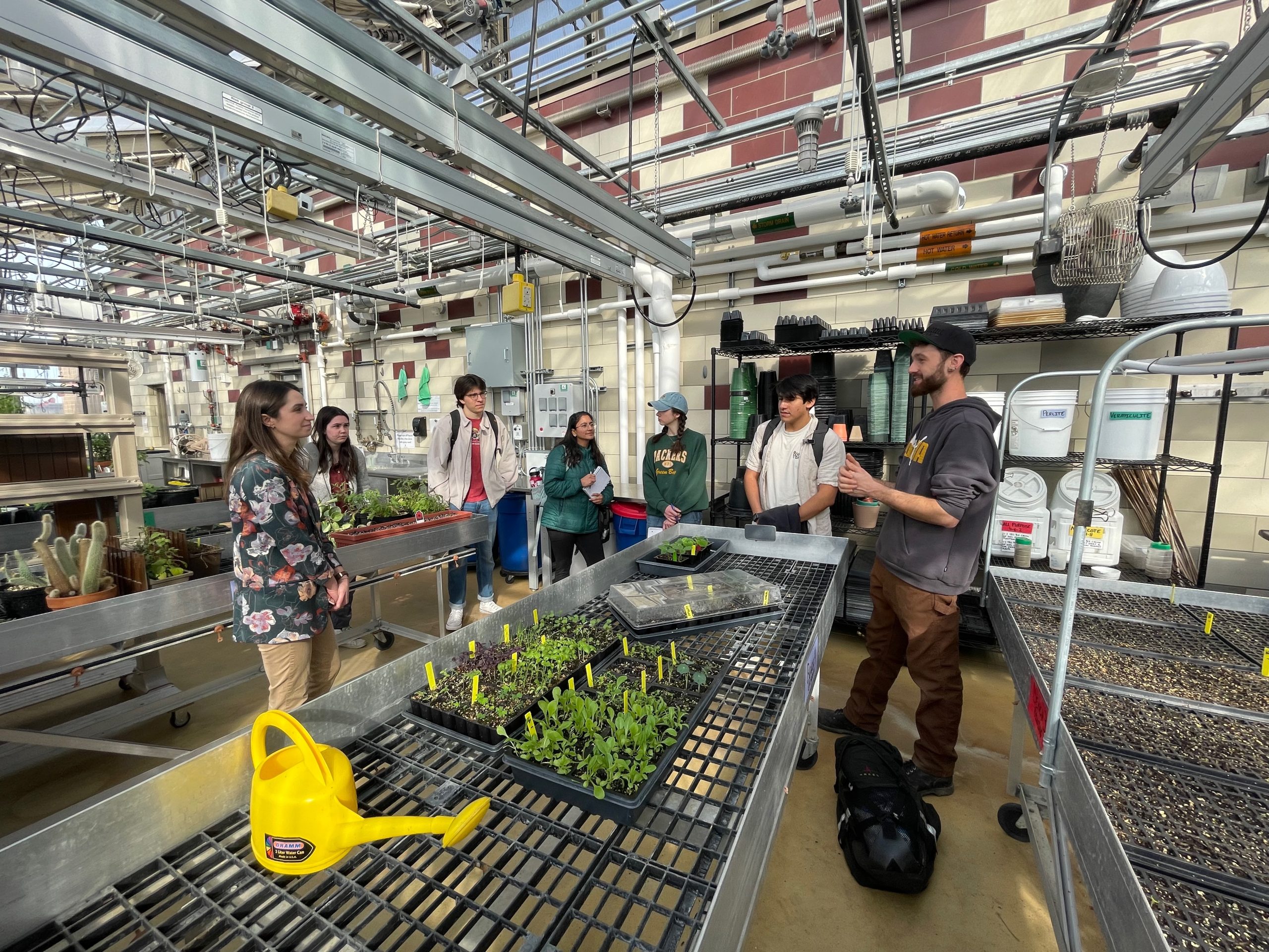 A group of seven students and staff examine a growing system inside of a greenhouse,