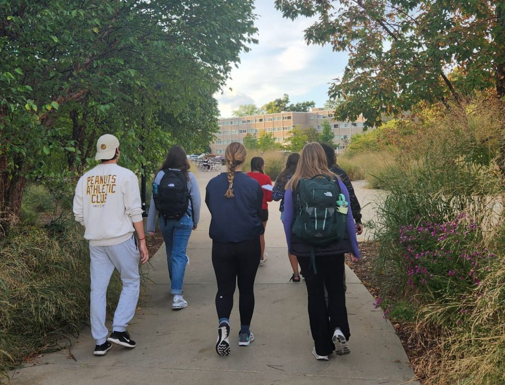 Students walk on a path