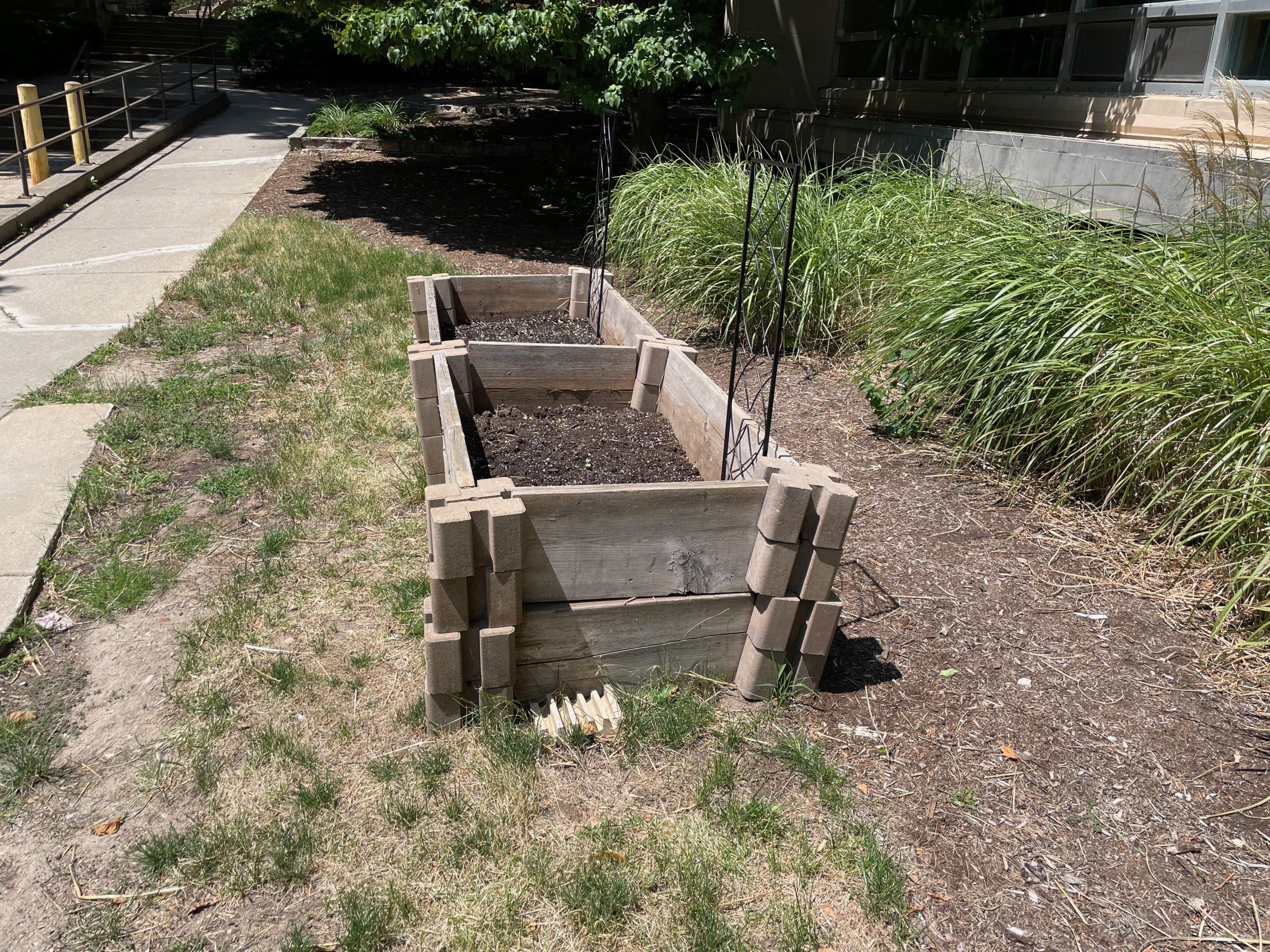 Photo of raised garden beds outside of Chadbourne Residence Hall.