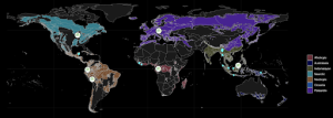A map of forest sites around the world that the Sound Forest lab studies.