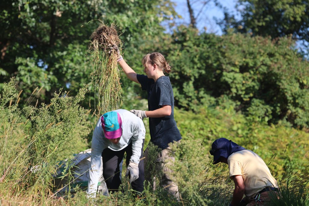 Students and staff cleaning up green space.