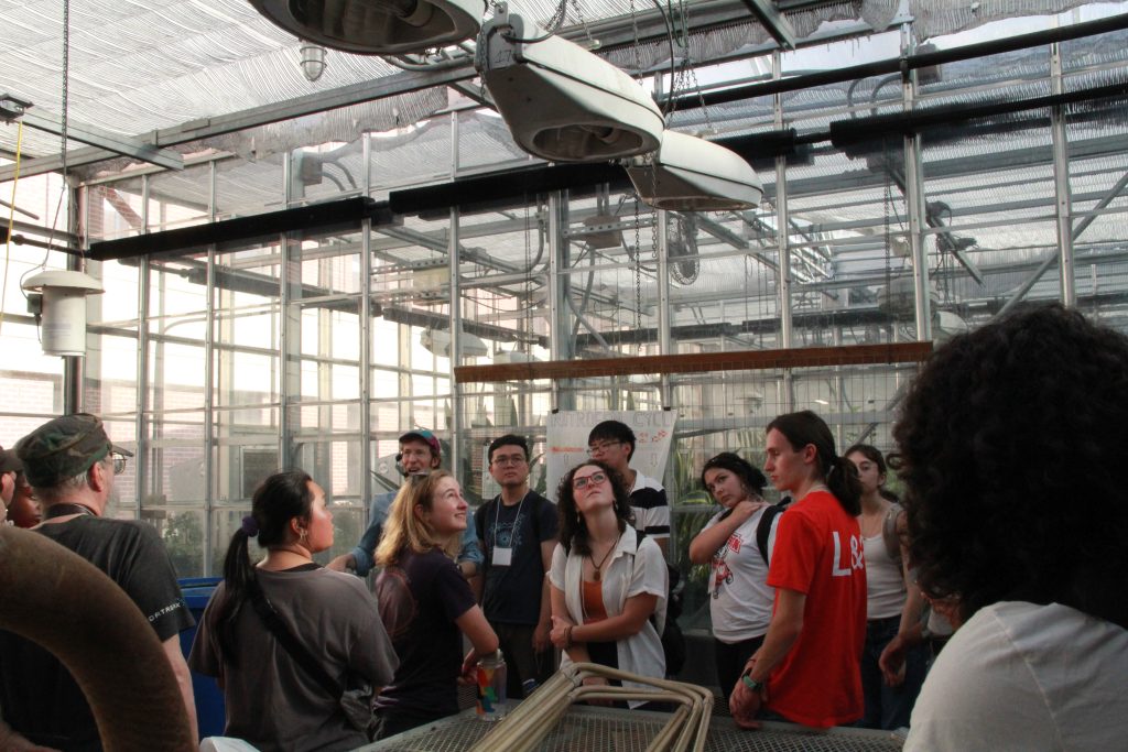 Students looking up at the light fixtures inside the greenhouse.