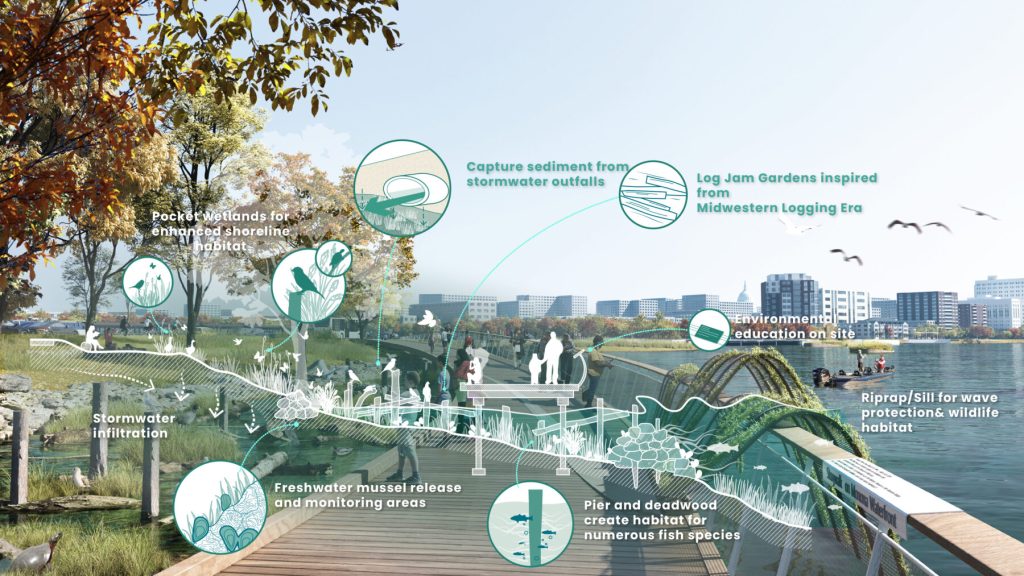 A diagram from Sasaki showing the living edge of Lake Monona