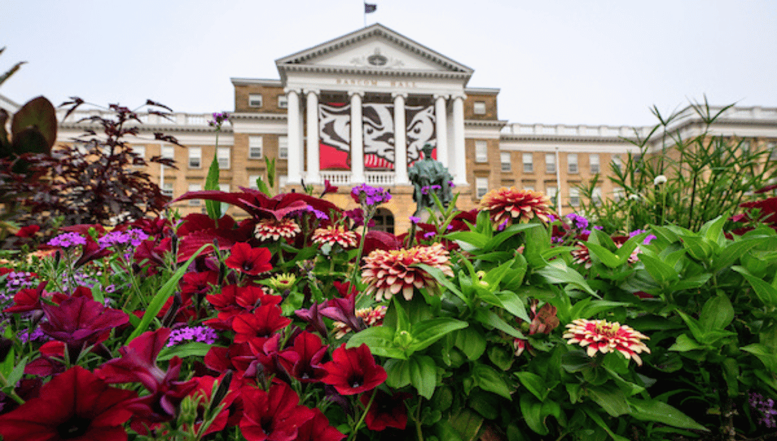 Zinnias flowers and coleus plants adorn Bascom Hall during a summer sunrise
