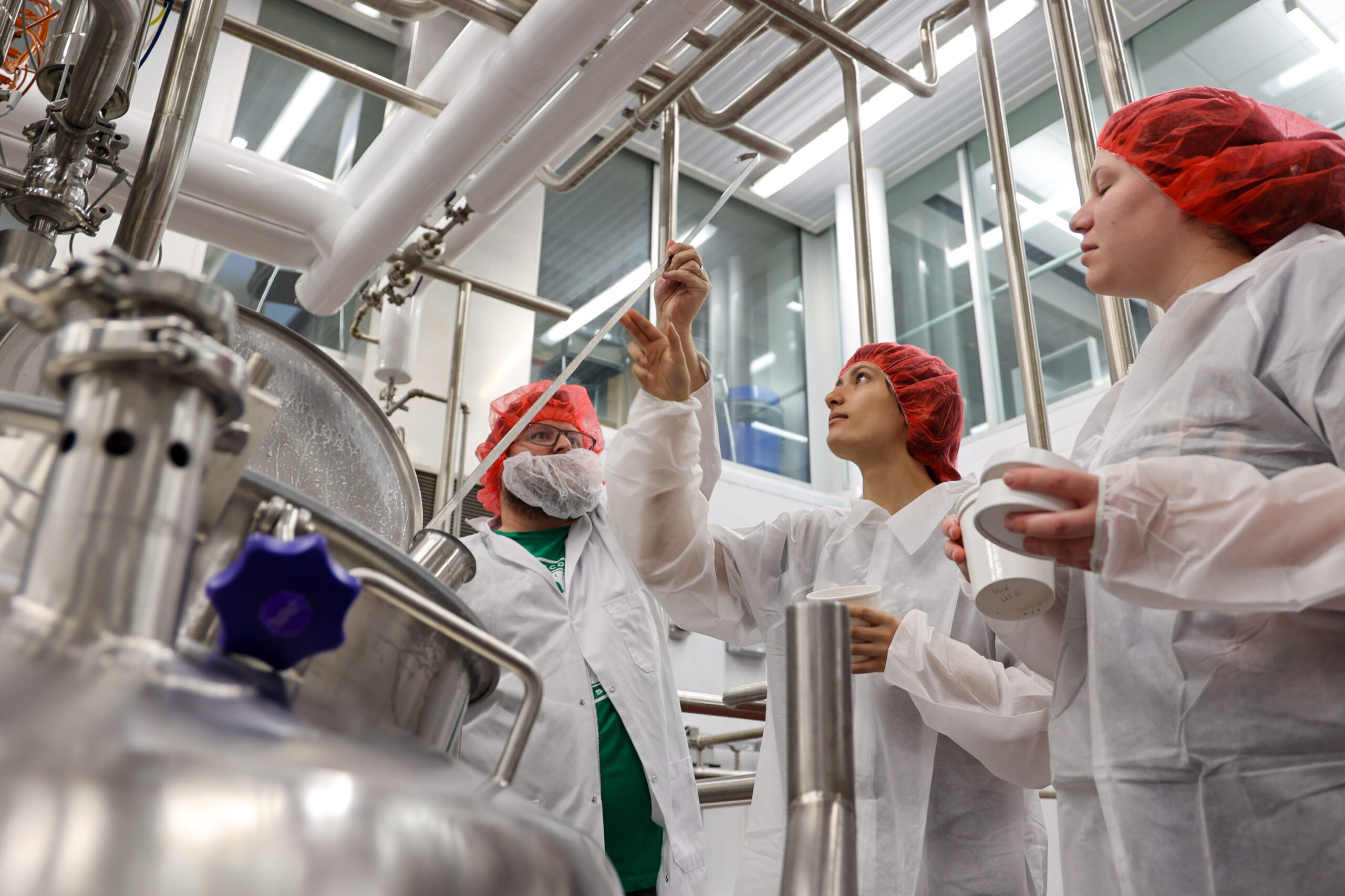 Three researchers in white protective clothing and red hairnets work around stainless steel dairy equipment, with one raising a long metal utensil.